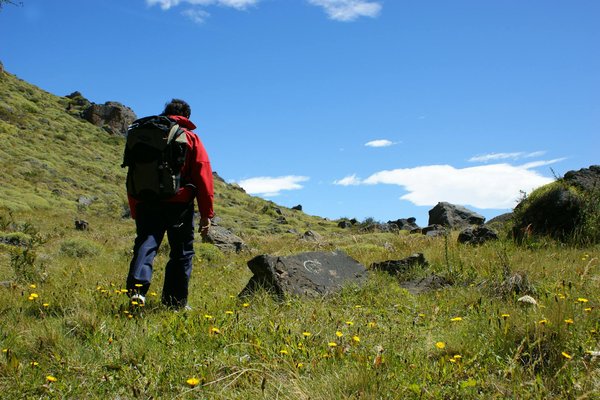 Where can you participate in a guided nature walk focusing on British wildlife in the Lake District?
