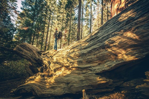 Which UK cruises offer detailed tours of famous British literary homes?